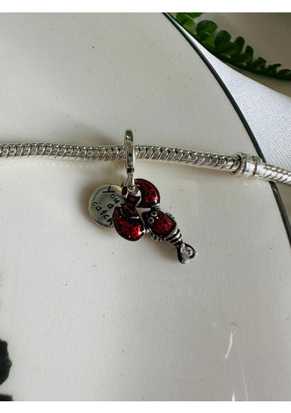 Gümüş S925 Damgalı Istakoz Sallantılı Charm