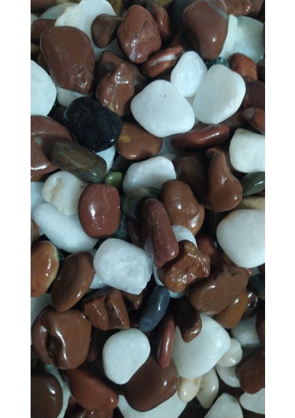 Dolomit Taş 1.5-3 cm Akvaryum Taşı Çakıl, Bahçe Saksı Süs Dere Taşı Dekorasyon (1 KG)