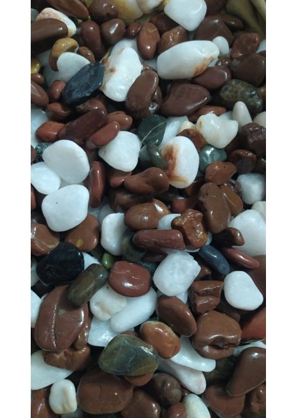 Dolomit Taş 1.5-3 cm Akvaryum Taşı Çakıl, Bahçe Saksı Süs Dere Taşı Dekorasyon (1 KG) fiyatları