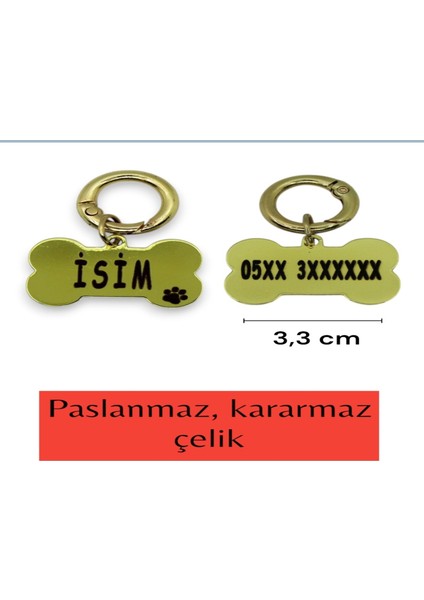 Köpek Tasma Seti Boyun Tasması ve Gezdirme Kayışı Kişiye Özel Çelik Künyeli Orta ve Büyük modelleri