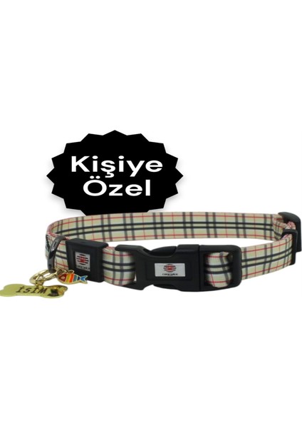 Köpek Tasma Seti Boyun Tasması ve Gezdirme Kayışı Kişiye Özel Çelik Künyeli Orta ve Büyük