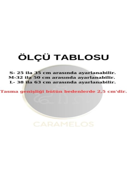 Köpek Tasma Seti Boyun Tasması ve Gezdirme Kayışı Kişiye Özel Çelik Künyeli Orta ve Büyük