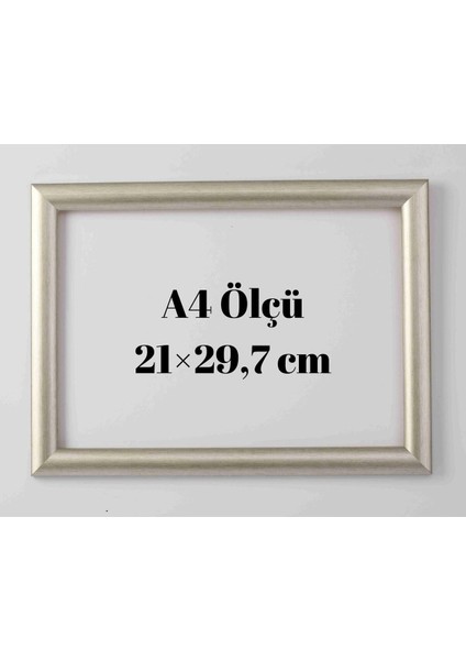 Standart A4 Çerçeve 21,0 x 29,7 cm Iç Ölçü. Camlı 22 mm Çerçeve