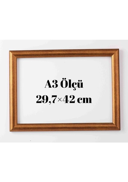 Standart A3 Çerçeve 29,7 x 42,0 cm Iç Ölçü. Camlı 22 mm Çerçeve