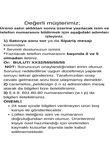 Köpek Tasma Seti Boyun Tasması ve Gezdirme Kayışı Kişiye Özel Çelik Künyeli Orta ve Büyük