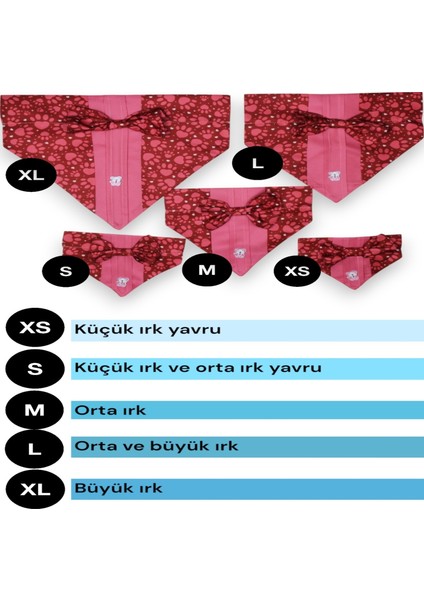 Fularlı Köpek Tasması, Papyonlu Köpek Tasması, Isimli Tasma. Köpek Isimli Künye, Kişiye Özel Tasma