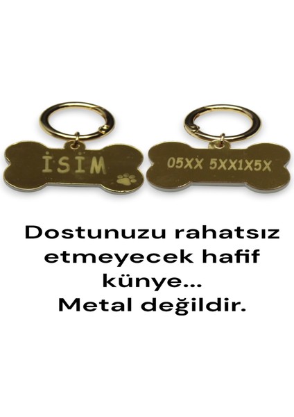 Fularlı Köpek Tasması, Papyonlu Köpek Tasması, Isimli Tasma. Köpek Isimli Künye, Kişiye Özel Tasma