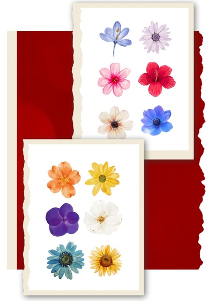 Çiçekler 2'li Sticker Paketi - Ajanda, Günlük Planlayıcı, Bullet Journal , Scrapbook, Laptop