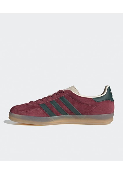 Gazelle Indoor fiyatları