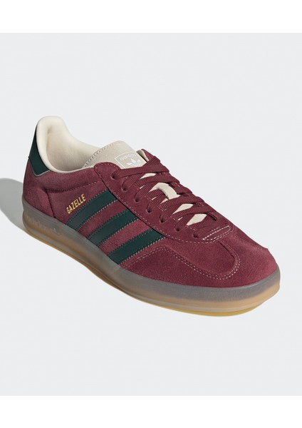 Gazelle Indoor modelleri