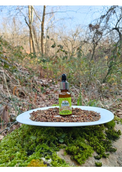 Propolis