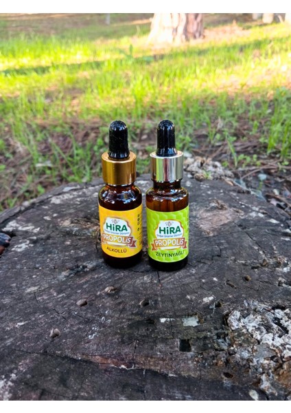 Propolis