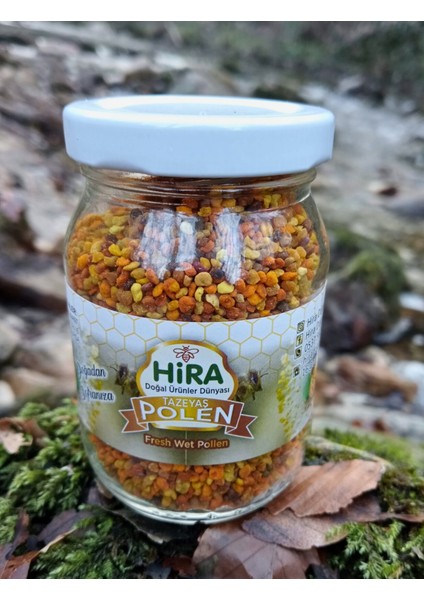 Polen fırsatları