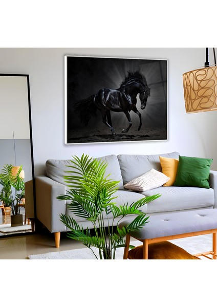 Metal Çerçeveli Siyah At Cam Tablo fiyatları