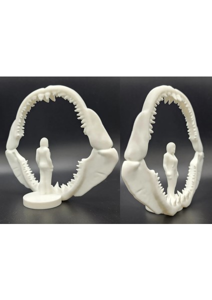 Köpek Balığı Çenesi Şeklinde Figür