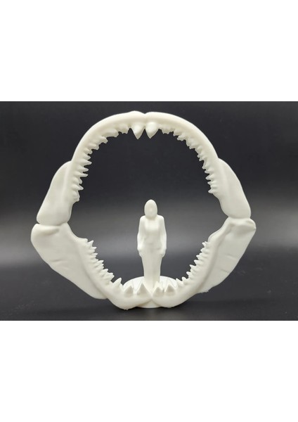 Köpek Balığı Çenesi Şeklinde Figür fiyatları