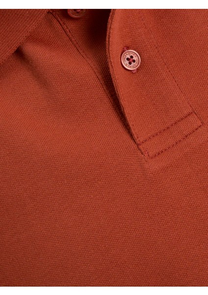 Jorboston Polo Ss Arabian fiyatları