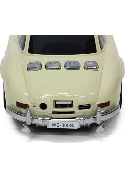 Araba Speaker WS300SL fiyatları