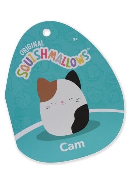 Kedi Cam 30 cm