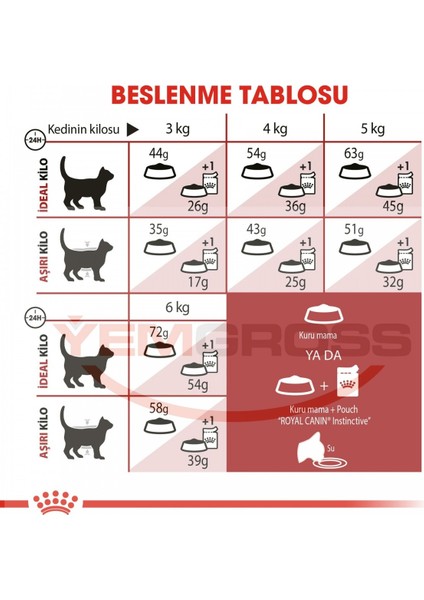 Fit 32 Kedi Maması - 4 Kg