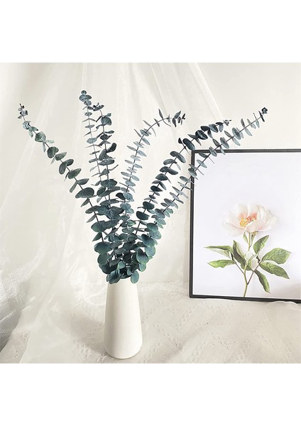 10 Paket Doğal Kurutulmuş Okaliptüs Paketi, Çiçek Düzenlemeleri Düğün Ev Dekor Için Korunmuş Taze Okaliptüs Dalları (Yurt Dışından) modelleri