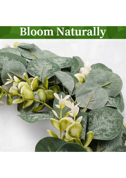 Okaliptüs Çelengi Çiftlik Evi Dekoru, Yeşil Çelenk Ön Kapı Çiftlik Evi Yapay Çelenk Ilkbahar Yaz Yeşillik Çelenk (Yurt Dışından) indirimleri