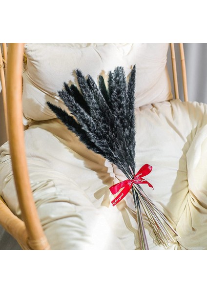30 Adet Siyah Pampas Çim, 17 Inç Doğal Kurutulmuş Kaık Küçük Ev Düğün Dekor Için Kaynaklanıyor Çiçek Aranjmanları, Dekor (Yurt Dışından) fiyatları