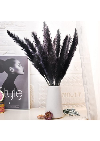 30 Adet Siyah Pampas Çim, 17 Inç Doğal Kurutulmuş Kaık Küçük Ev Düğün Dekor Için Kaynaklanıyor Çiçek Aranjmanları, Dekor (Yurt Dışından) modelleri