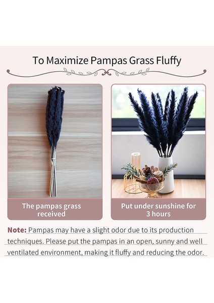 30 Adet Siyah Pampas Çim, 17 Inç Doğal Kurutulmuş Kaık Küçük Ev Düğün Dekor Için Kaynaklanıyor Çiçek Aranjmanları, Dekor (Yurt Dışından) indirimleri