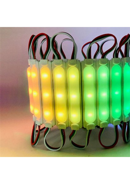 WS2811 LED Modülü Cob DC12V Su Geçirmez IP68 Dijital Renkli LED Işık Dizisi (Yurt Dışından)