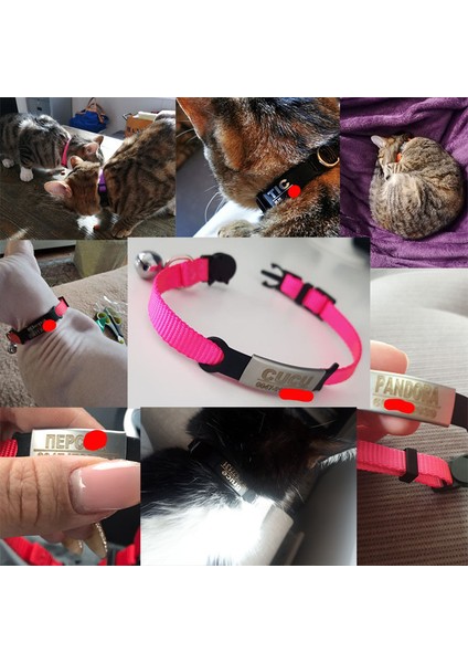 P-Yeşil Siyah Stil 7-12 Inç Naylon Yaka Özel Kişiselleştirilmiş Kimlik Ücretsiz Kazıma Pati Desenli Kedi Küçük Köpek Sevimli Naylon Ayarlanabilir Yavru Kediler Kolye (Yurt Dışından) indirimleri