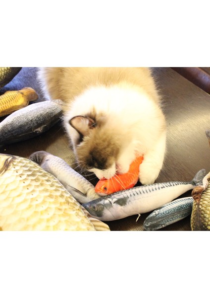 Gri Stil Tüylü Yaratıcı 3D Ahtapot Balık Şekilli Kedi Oyuncağı Hediye Sevimli Simülasyon Balık Oynatma Pet Hediye Kedi Nane Balık Peluş Pet Oyuncağı (Yurt Dışından) indirimleri