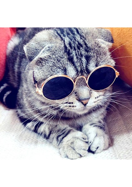 Mor Tarzı Evcil Hayvan Ürünleri Sevimli Vintage Yuvarlak Kedi Güneş Gözlüğü Yansıma Göz Koruyucu Gözlük Küçük Köpek Kedi Fotoğraf Aksesuarları (Yurt Dışından) fiyatları