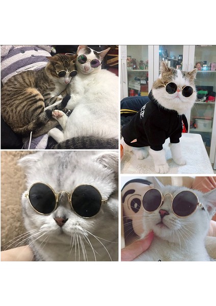 Mor Tarzı Evcil Hayvan Ürünleri Sevimli Vintage Yuvarlak Kedi Güneş Gözlüğü Yansıma Göz Koruyucu Gözlük Küçük Köpek Kedi Fotoğraf Aksesuarları (Yurt Dışından) fırsatları