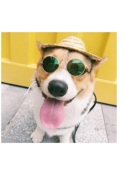 Mor Tarzı Evcil Hayvan Ürünleri Sevimli Vintage Yuvarlak Kedi Güneş Gözlüğü Yansıma Göz Koruyucu Gözlük Küçük Köpek Kedi Fotoğraf Aksesuarları (Yurt Dışından) indirimleri
