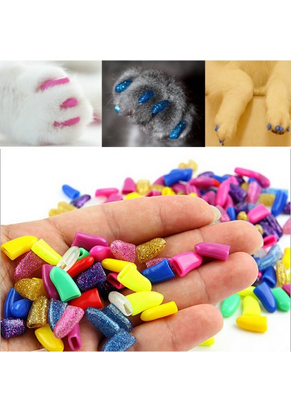 No.20 Tarzı L Beden Kediler Için Yeni Moda Renkli Kedi Tırnak Kapsülleri Yumuşak Pençe Anti-Çizik Kedi Aksesuarları Ücretsiz Yapıştırıcı Tutkal (Yurt Dışından) fırsatları