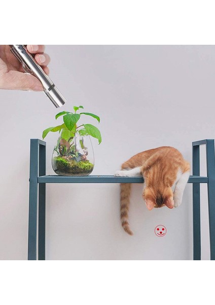 1 Adet 3mod Stili Komik Lazerli Kedi Oyuncak Kırmızı Nokta Lazer Işık Oyuncak Yaratıcı Lazer Hedef Gösterici Lazer Kalem Etkileşimli Oyuncak LED USB Uv Kedi Aksesuarı (Yurt Dışından) fiyatları