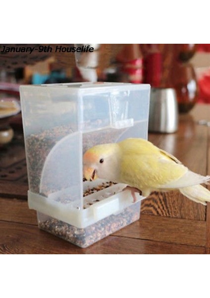 S Tarzı Sıcak Küçük Boy Kuş Kümesi Otomatik Akrilik Yiyecek Konteyneri Papağan Güvercin Sıçrama Geçirmez .5cm (Yurt Dışından) modelleri