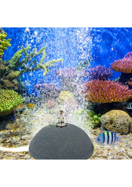 12CM Tarzı Balık Tankı Balon Hava Taşı Aerator Balık Tankı Havuzu Pompası Akvaryum Süngerleme Havuzu Pompası Tank Seramik Balon Difüzörü (Yurt Dışından) fiyatları