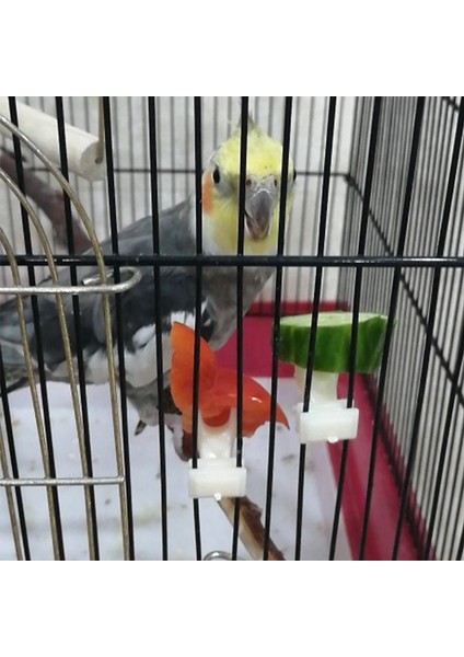 S Tarzı 5 Adet Plastik Evcil Kuşlar Meyve Çatalı Papağanlar Yiyecek Tutucu Kafes Cihazı Kafes Aksesuarları Evcil Kuş Malzemeleri (Yurt Dışından) fırsatları