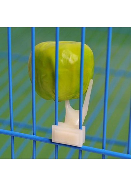 2 Adet Tarzı Kuşlar Papağanlar Meyve Çatalı Evcil Hayvan Malzemeleri Plastik Yiyecek Tutucu Kafeste Evcil Hayvan Malzemeleri 23 (Yurt Dışından)