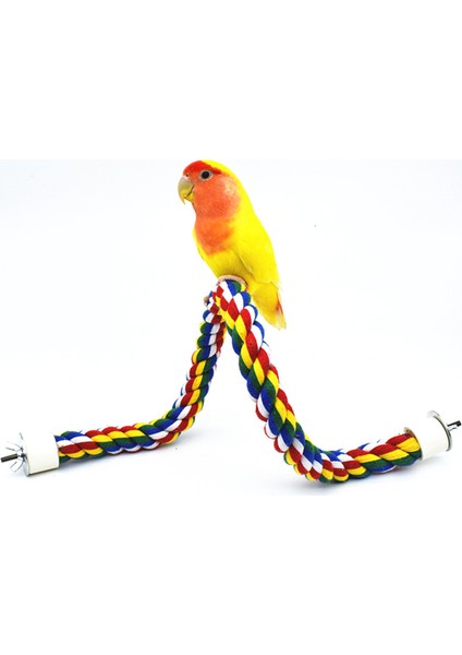 30CM Tarzı Renkli Halat Papağan Kuş Oyuncakları Oturak Çubuğu Kuş Kafesi Standı Spiral Tüy Takviyesi Kuş Standı Muhabbet Kuşu (Yurt Dışından) fırsatları