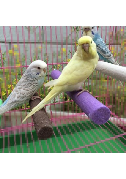 18X1.5CM Tarzı Sıcak Ahşap Kuş Kafesi Papağan Oyuncakları Tırmanma Çubukları Pençe Törpüleme Istasyon Platformu Isırıklar Için Muhabbet Kuşu Fare Hamsterler Rastgele Renk (Yurt Dışından) indirimleri