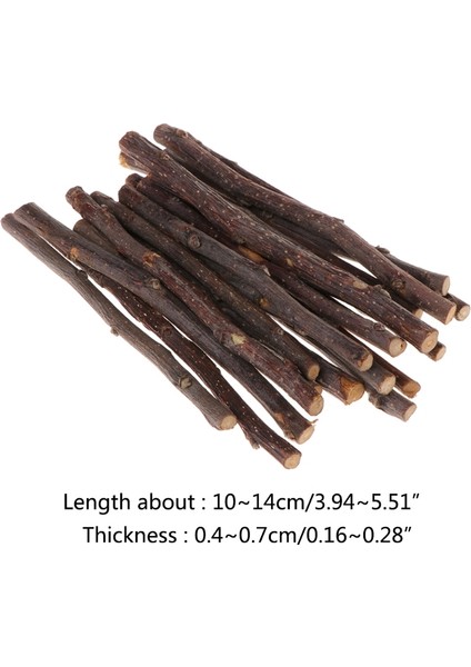 Yeni Çubuk Ağaç Dalı Hamster Sincap Doğal Oyuncaklar Papağanlar Tavşanlar (Yurt Dışından)