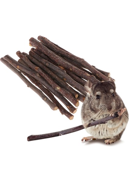 Yeni Çubuk Ağaç Dalı Hamster Sincap Doğal Oyuncaklar Papağanlar Tavşanlar (Yurt Dışından) fiyatları