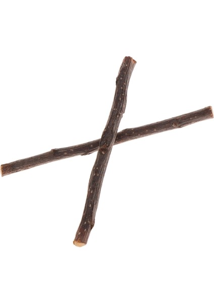 Yeni Çubuk Ağaç Dalı Hamster Sincap Doğal Oyuncaklar Papağanlar Tavşanlar (Yurt Dışından) modelleri