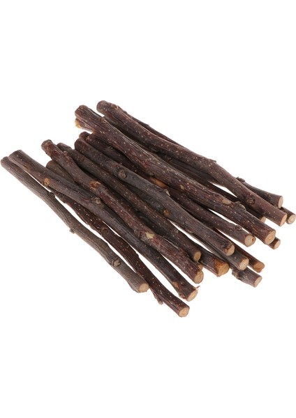 Yeni Çubuk Ağaç Dalı Hamster Sincap Doğal Oyuncaklar Papağanlar Tavşanlar (Yurt Dışından) fırsatları