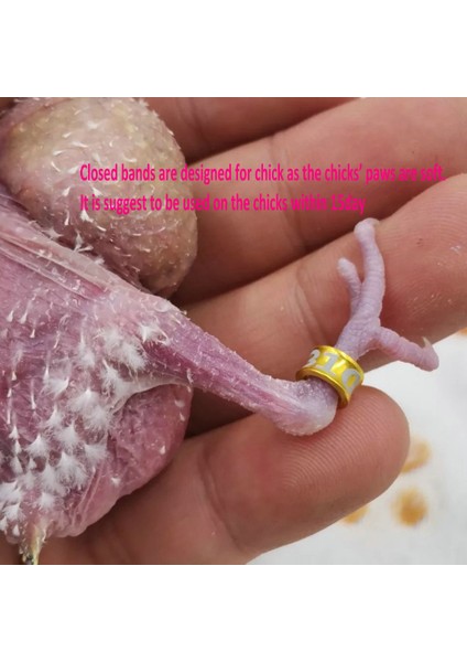 2,6 mm Kimlik Kapalı Döngü Stili Alüminyum Kapalı Döngü Kuş Bacak Bantları Kanarya Muhabbet Kuşu Muhabbet Kuşu Konure Rastgele Renk Çoklu Renkler (Yurt Dışından) modelleri