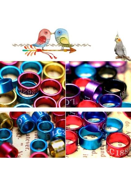 4mm Tarzı Karışık Renk Kuş Ayak Halka Bantları Güvercin Güvercin Civciv Bantam Bıldırcın Muhabbet Kuşu Fmall Işareti Için Klipsli Ayak Halkaları (Yurt Dışından) fırsatları