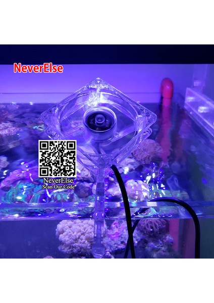 1 Hayran Stili Au Fiş Adaptörü 100V~240V Şeffaf Soğutma Fanları Mini Nano Klipsli Akvaryum Su Bitkisi Balık Tankı Fanı Suyun Sıcaklığını Düşürme Kontrolü Sessiz (Yurt Dışından)